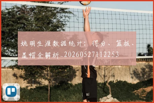 姚明生涯数据统计：得分、篮板、盖帽全解析_20260527112253