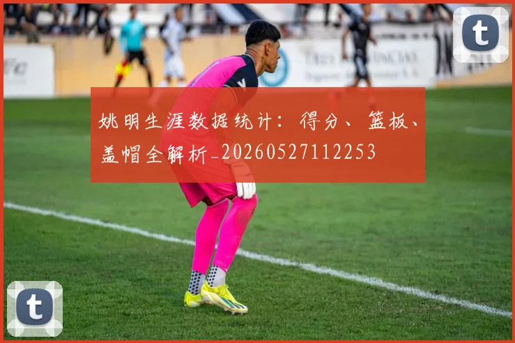 姚明生涯数据统计：得分、篮板、盖帽全解析_20260527112253
